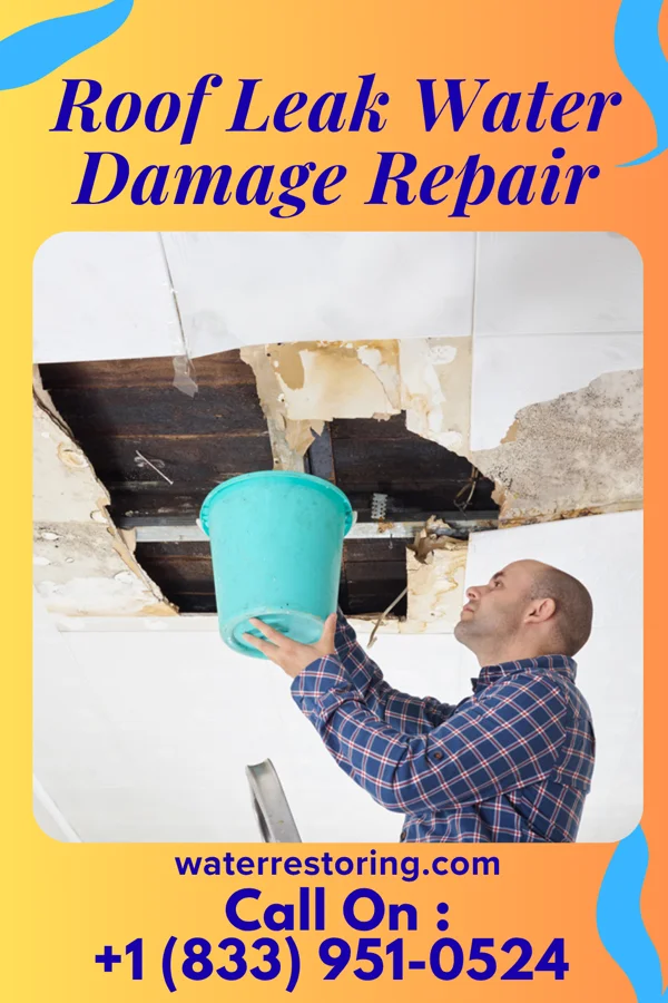 Roof Leak Water Damage Repair in Red River, NM